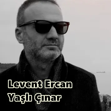 Levent Ercan - Yaşlı Çınar