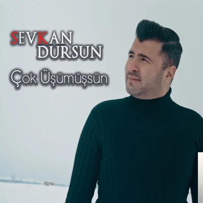 Sevkan Dursun - Bir Seher Vaktinde İndim Bağlara
