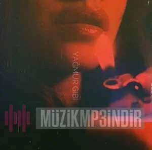 Anıl Kaplanoğlu - Yağmur Gibi