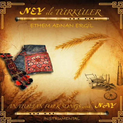 Ethem Adnan Ergil - Hastane Önünde İncir Ağacı