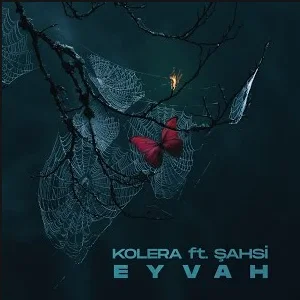 Kolera - Dayan