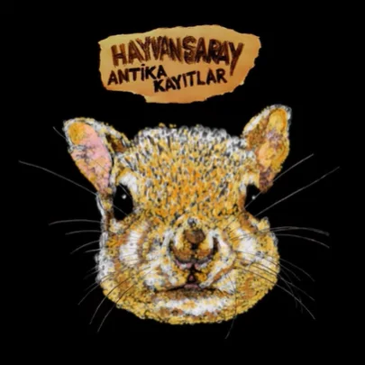 Hayvansaray - Sincap Dövdüm Ormanda