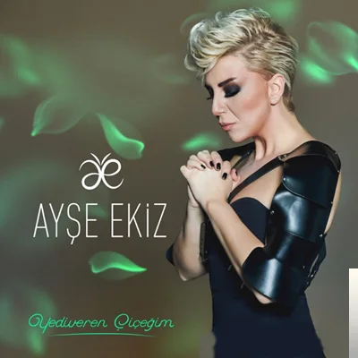 Ayşe Ekiz - Haydi Abbas