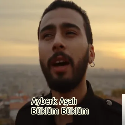 Ayberk Aşalı - Zor Günler