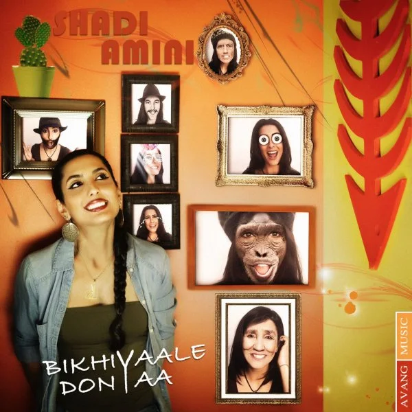 Shadi Amini - Bikhiyale Donya