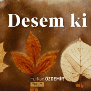 Furkan Özdemir - Bir İhtimal Daha Var (Ali Lidar)