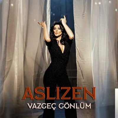 Aslızen - Vazgeç Gönlüm