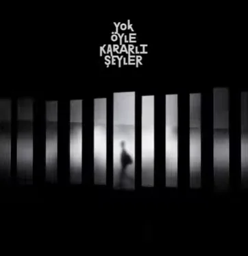 Yok Öyle Kararlı Şeyler - Polyester