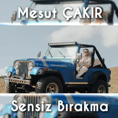 Mesut Çakır - Sensiz Bırakma