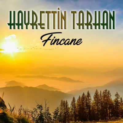 Hayrettin Tarhan - Gülamın