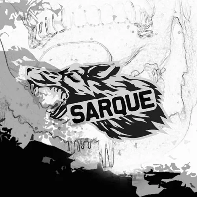 Sarque - Başaramadık Abi