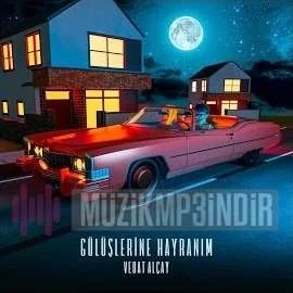 Vedat Alçay - Canım Gülüşlerine Hayranım