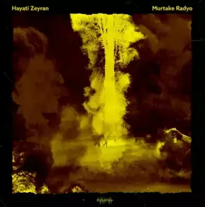 Hayati Zeyran - Vincent Sen İyi Değilsin