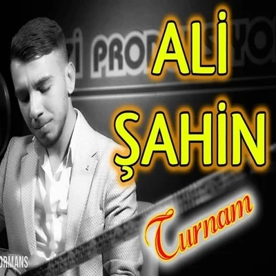 Ali Şahin - Nasıl Bu Derdinen Gezeyim