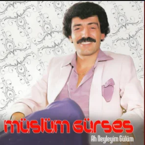 Müslüm Gürses - Ah Neyleyim Gülüm