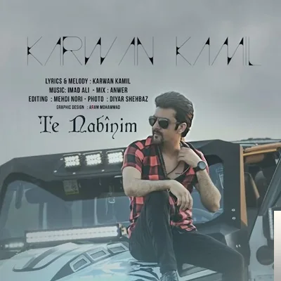 Karwan Kamil - Dil Birindare