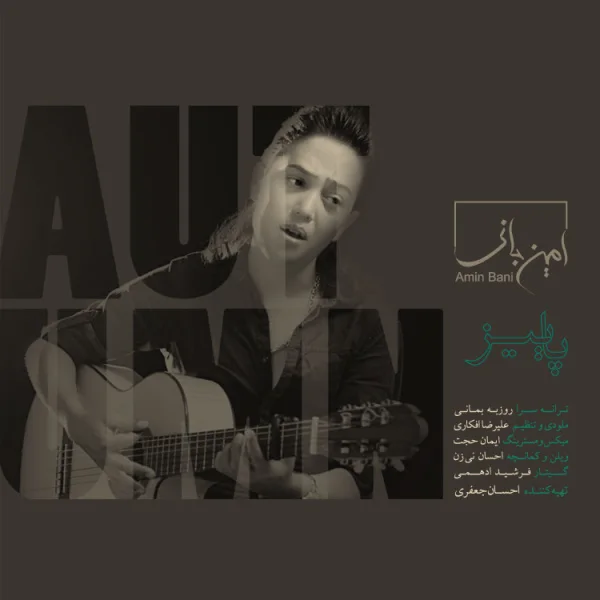 Amin Bani - Paeez
