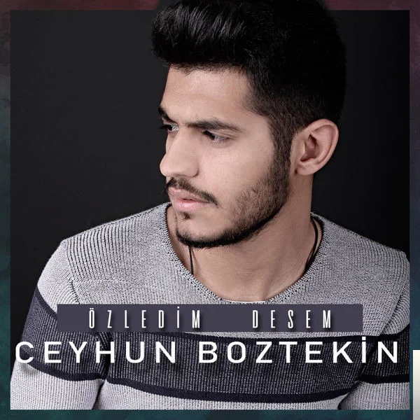 Ceyhun Boztekin - Hayaller Gerçek Olsa